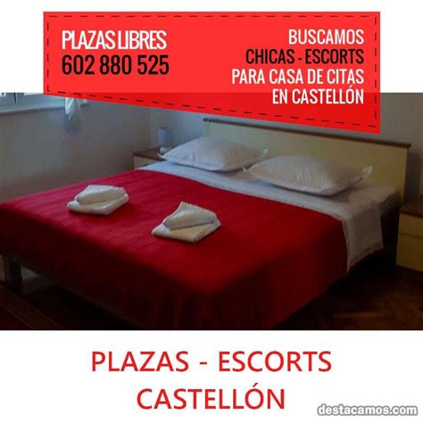 casa de citas castellon|cintia castellon.